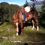 Апартаменты Sotcha 8c