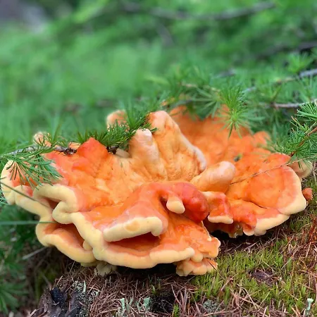 شقة Sotcha 8c سكول