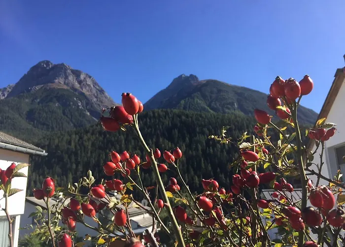 Sotcha 8c Appartement *