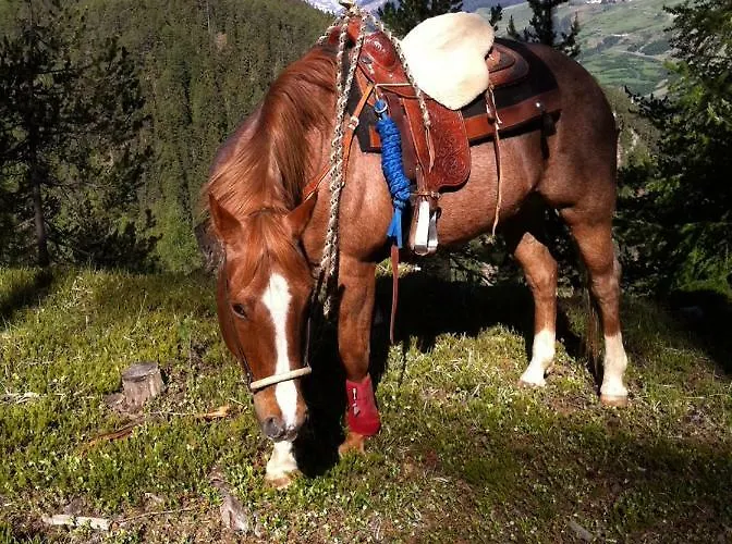 Apartamento Sotcha 8c